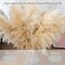 24 pcs Tall Pampas Grass Decoration - Pasuvsigt 40 Inch Large Pampas Grass Dried Flower Decoration